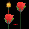 ROSA FUEGO MAGICO